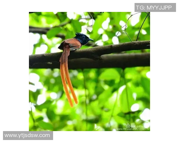 从童年趣事看足球球星成长之路揭秘他们如何一步步走向辉煌 从童年趣事看足球球星成长之路揭秘他们如何一步步走向辉煌